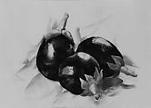 Eggplants, Charles Demuth (American, Lancaster, Pennsylvania 1883–1935 Lancaster, Pennsylvania), Watercolor and graphite on paper